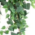 POTHOS Artificiel