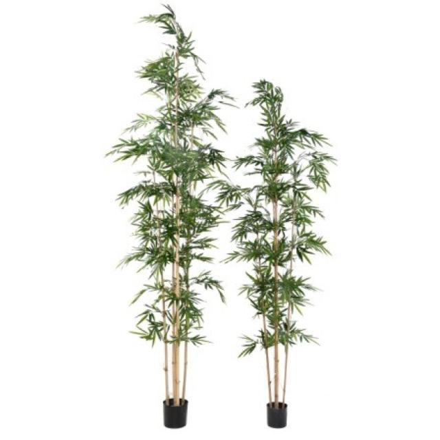 Bambou Assymetrique Artificiel