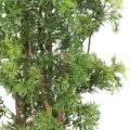 Aralia artificiel MING NITIDA TN UV