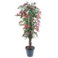Bougainvillée artificiel NEW LIANES