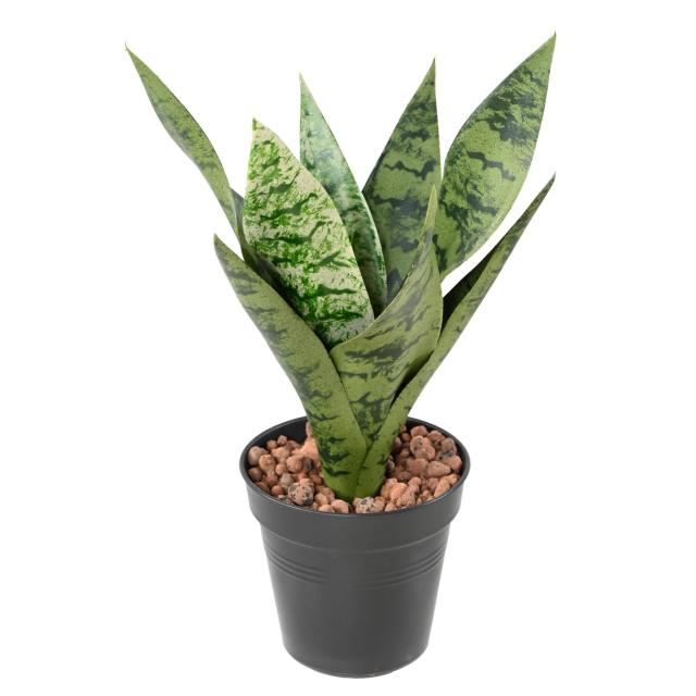 SANSEVIERIA Artificiel PIQUET *9