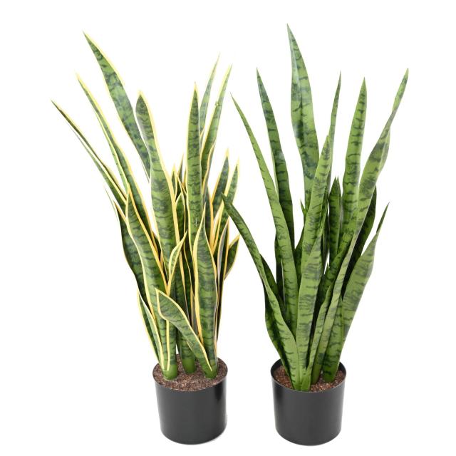Sansevieria Artificielle Grandes Tailles