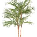 Areca artificiel palm *3