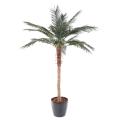 Phoenix artificiel PALM