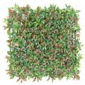 RUSCUS PLAQUE