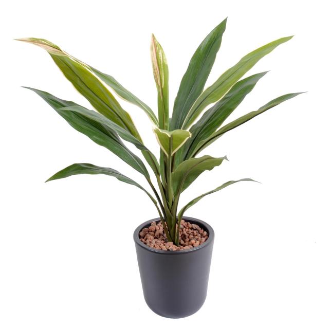 Dracaena artificiel CORDYLINE