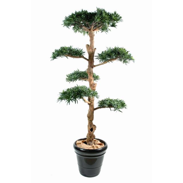 Podocarpus Artificiel Nuage Large