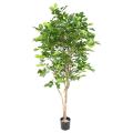 HETRE Artificiel GRANDIFOLIA 190