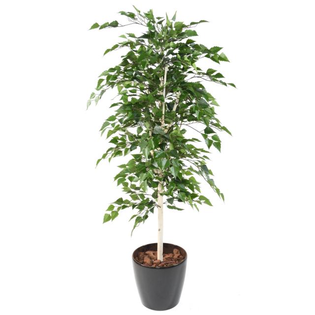 BOULEAU Artificiel TB