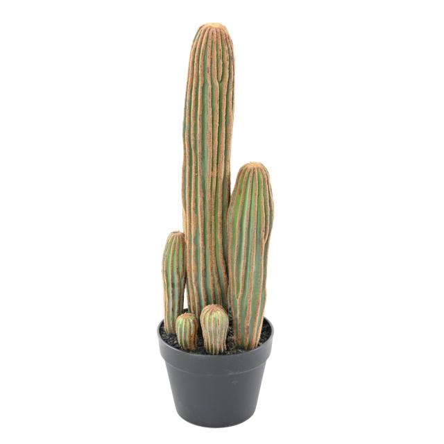 CACTUS Artificiel FINGER X