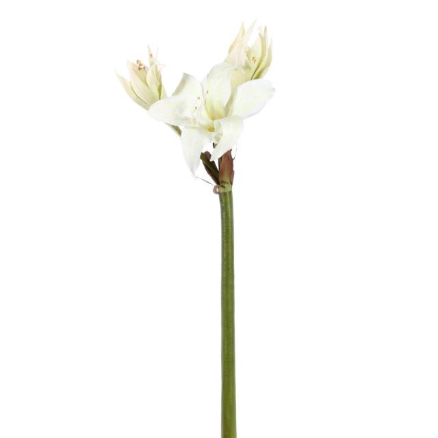 Amaryllis Sauvage Artificiel