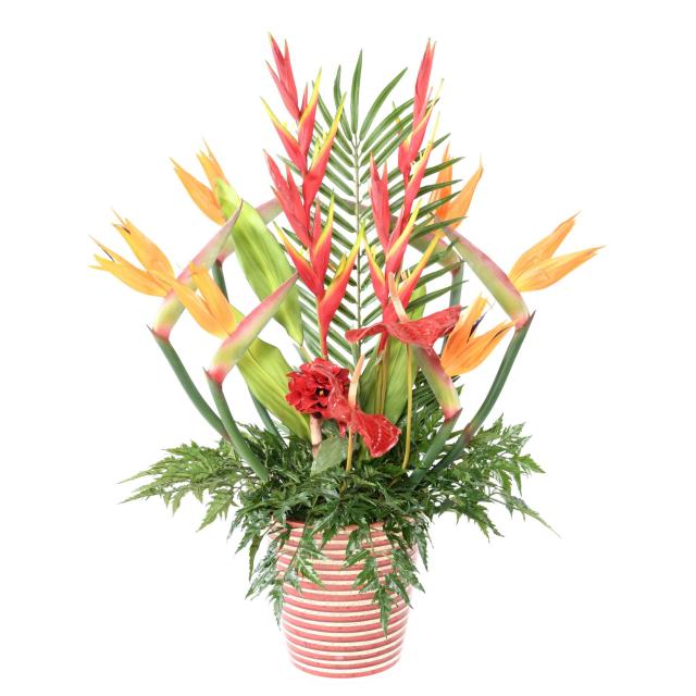 BOUQUET Artificiel ANTHURIUM STRELITZIA