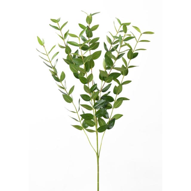 Eucalyptus artificiel *144