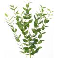 Eucalyptus artificiel *144