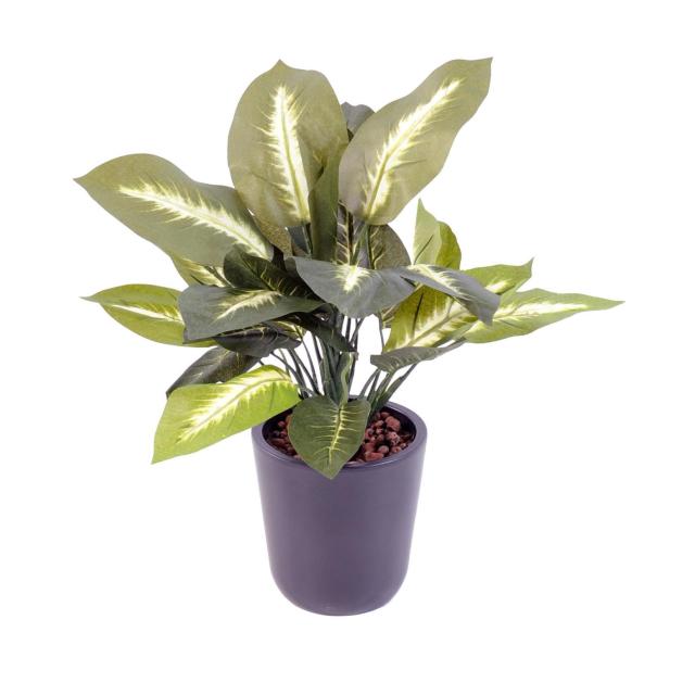 Dieffenbachia artificiel
