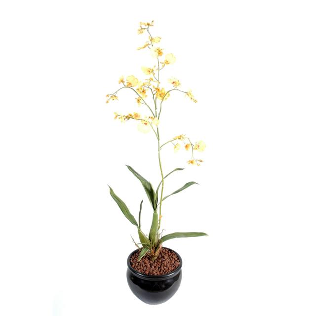 Oncidium artificiel GEANT