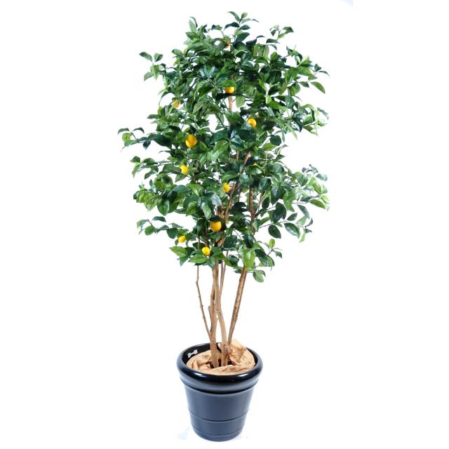 Citronnier artificiel NEW