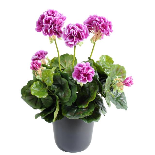 Geranium artificiel *52