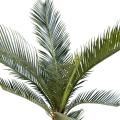 Cycas artificiel BABY*10