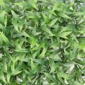 HERBE Artificielle LARGE PLAQUE UV