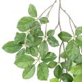 HETRE Artificiel GRANDIFOLIA SPRAY