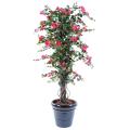 Bougainvillée artificiel NEW LIANES