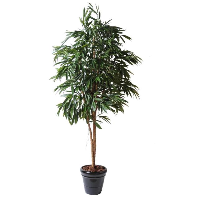 Ficus artificiel ALII ROYAL
