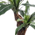Asplenium artificiel tronc *2t