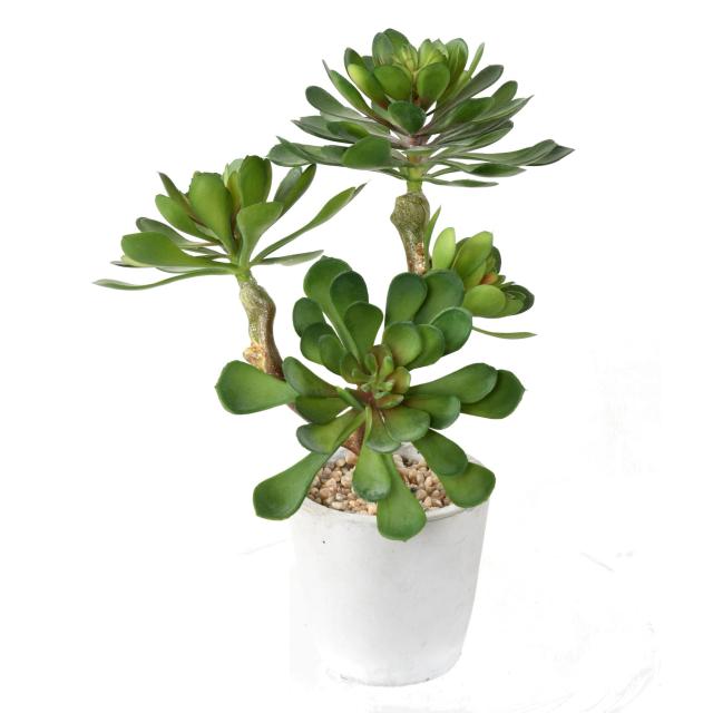 Succulente Artificielle 4 Têtes