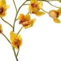 Cymbidium artificiel