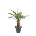 Anthurium artificiel jungle king