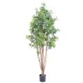 Aralia artificiel ming nitida