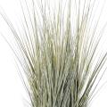 Onion Grass artificiel GV