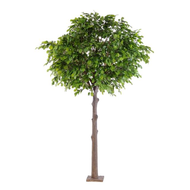 Chêne Artificiel Tete