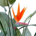 Strelitzia artificiel 3FL