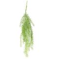 TILLANDSIA Artificiel 90