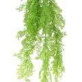 ASPARAGUS Artificiel MINI CHUTE
