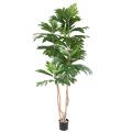 ARTOCARPUS Artificiel ALTILIS Multi troncs (arbre à pain)