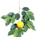 Oranger artificiel SPRAY ET FRUIT GM