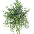 Peperomia artificiel CHUTE PLAST