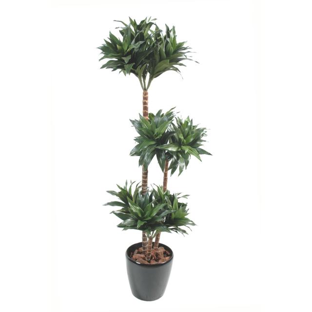 Dracaena artificiel FRAGRANS