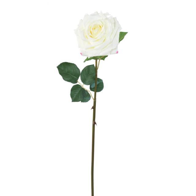 ROSE Artificielle