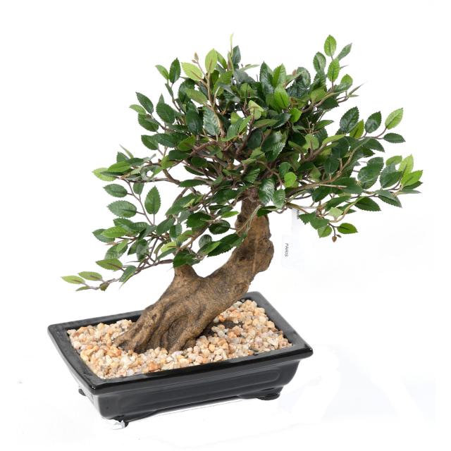 BONSAI ORME Artificiel EN COUPE gravier