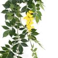 GLYCINE artificielle GUIRLANDE NEW