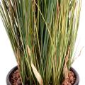 Onion Grass artificiel