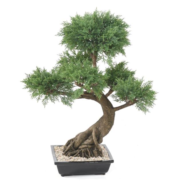 BONSAI JUNIPERUS ARTIFICIEL EN COUPE