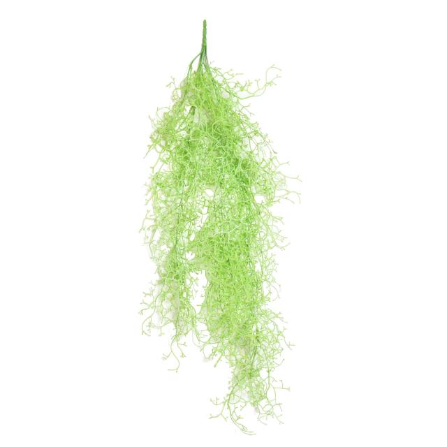 TILLANDSIA Artificiel CHUTE