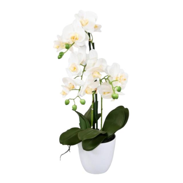 Phalaenopsis Artificielle en Pot 3 Brins