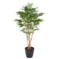 ACACIA Artificiel