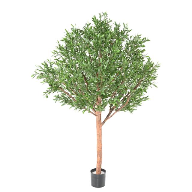 Olivier Artificiel Tete Large PLAST 210 UV